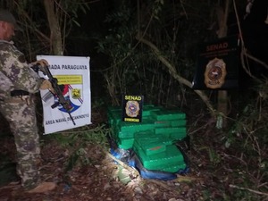 Cerca de 440 kilos de marihuana fueron incautados mediante patrulla fluvial