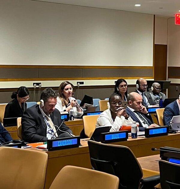 Paraguay participó en sesión del Comité del Programa y de la Coordinación - .::Agencia IP::.