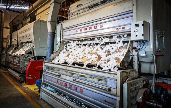 MIC aprobó proyecto para producir hilos con algodón •