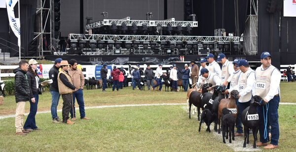 La penúltima jornada de jura de bozal de la Expo exhibió ejemplares de notable calidad