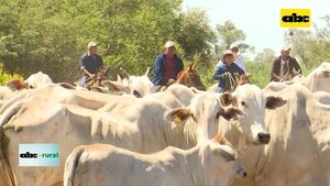 Video: Bloq para nutrición de ganado con micronutrientes - ABC Rural - ABC Color