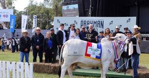 La Nación / Jurados coronaron a grandes campeones en el último día de juzgamiento