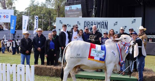 La Nación / Jurados coronaron a grandes campeones en el último día de juzgamiento