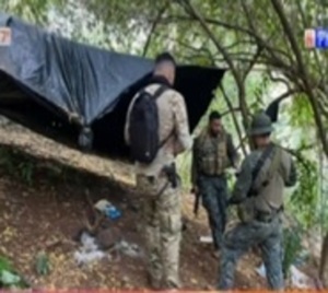 Senad destruye 400 toneladas de marihuana - Paraguay.com