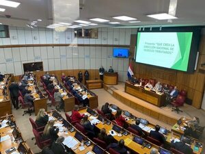 Fusión SET y Aduanas: senadores de la oposición pedirán su postergación sine die - Economía - ABC Color