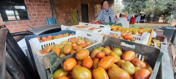 Tomateros se manifestaron en repudio del contrabando y por el bajo precio del productos - Nacionales - ABC Color