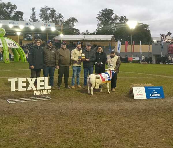 Grandes Campeones de Texel deslumbraron en la pista de la Expo MRA