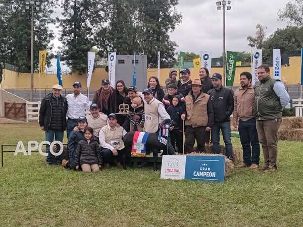 Grandes Campeones de Santa Inés mostraron “un importante mejoramiento genético”