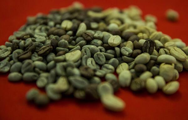 Nicaragua vende en una subasta su mejor café a un precio récord de 80,1 dólares la libra - MarketData