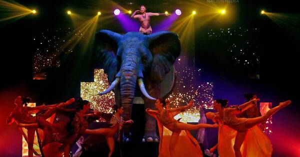 La Nación / El Circo del Ánima, donde ocurre la magia