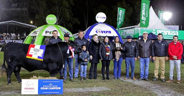 La Nación / Ganadera Sofía consigue sobresalir con raza angus