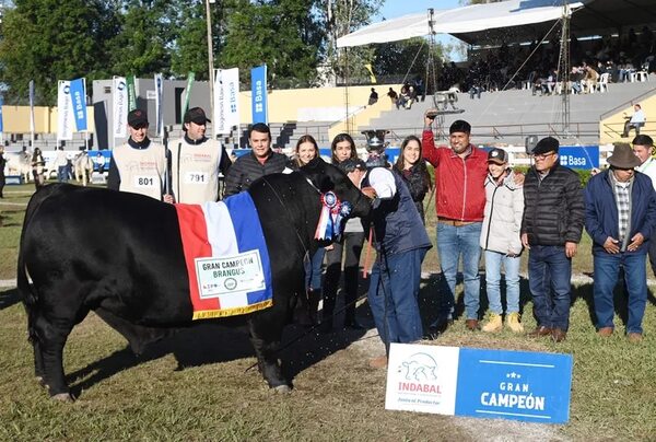 Este sábado desfilarán los grandes campeones en la Expo 2023 - Economía - ABC Color
