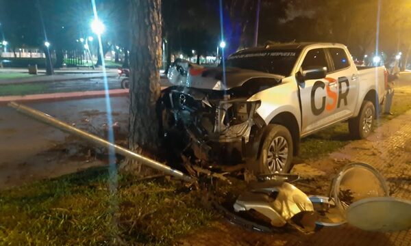 Patrulleros de empresa de seguridad chocan contra árbol en Bo. Catedral – Diario TNPRESS