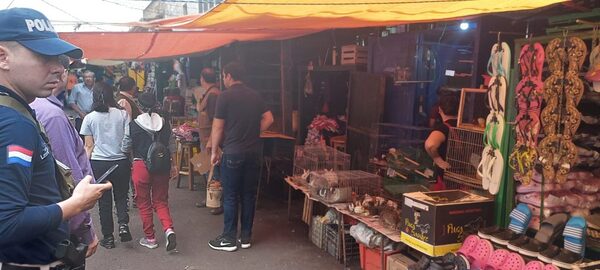 Intervinieron locales del Mercado 4 que comercializaban animales silvestres | 1000 Noticias