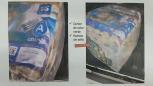 Alertan sobre huevos truchos que circulan