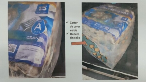 Alertan sobre huevos truchos que circulan