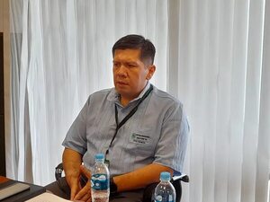 Yacyretá aportó al desarrollo productivo del Paraguay, dice técnico - Nacionales - ABC Color
