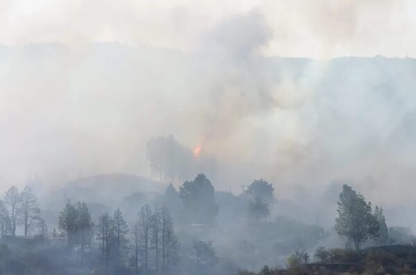Más de 500 personas desalojadas por un incendio forestal en las islas Canarias - Mundo - ABC Color