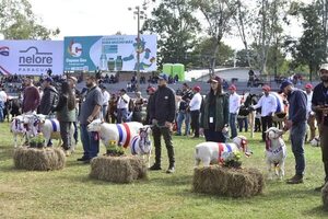 La Expo 2023 quedó oficialmente inaugurada: piden tolerancia cero para el contrabando - Nacionales - ABC Color