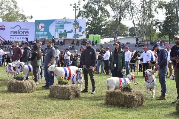 La Expo 2023 quedó oficialmente inaugurada: piden tolerancia cero para el contrabando - Nacionales - ABC Color