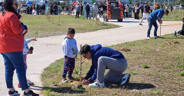 La Nación / Exitosa jornada de Plantatón 2023 suma 5000 árboles en Asunción