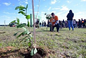 Plantatón: arborizan con 5.000 nuevos plantines en la Costanera de Asunción - Nacionales - ABC Color