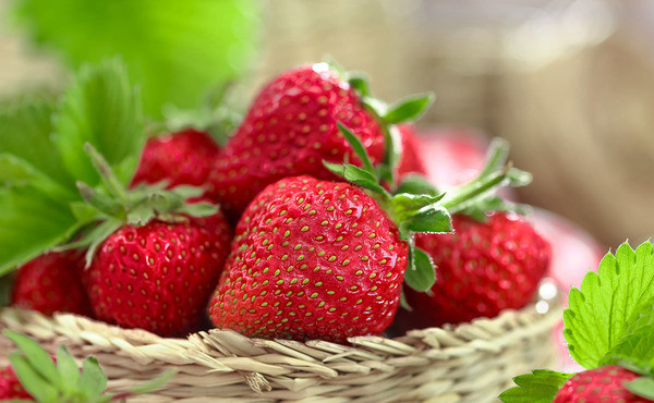 La «Expo Frutilla»,deliciosa celebración llena de sabor y color | OnLivePy