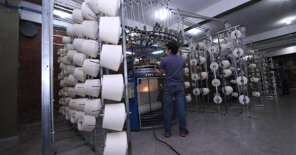 La Nación / Producirán y comercializarán hilos con algodón en el Chaco