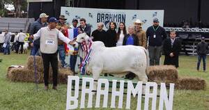 La Nación / Jurados coronaron a grandes campeones de razas en la Expo