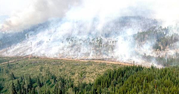La Nación / Incendio consumió más de 10 millones de hectáreas