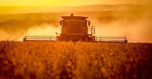 La Nación / Agricultores de Europa y Sudamérica, dos mundos alejados