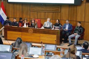 Bloque opositor del Senado pedirá postergación sine die sobre fusión SET-DNA | 1000 Noticias