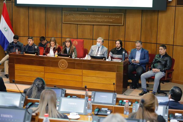 Bloque opositor del Senado pedirá postergación sine die sobre fusión SET-DNA | 1000 Noticias