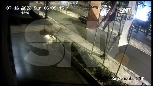 Chocó contra el árbol del paseo central - SNT