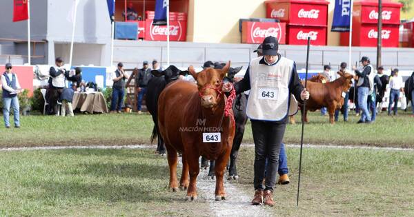 La Nación / FARM reafirma posición de productores agropecuarios de la región