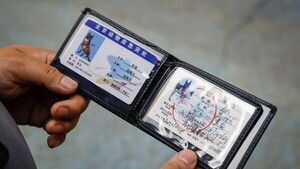 Detective de mascotas, una profesión al alza en China