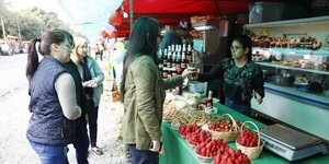 Numerosas familias se volcaron a Areguá para comprar frutilla