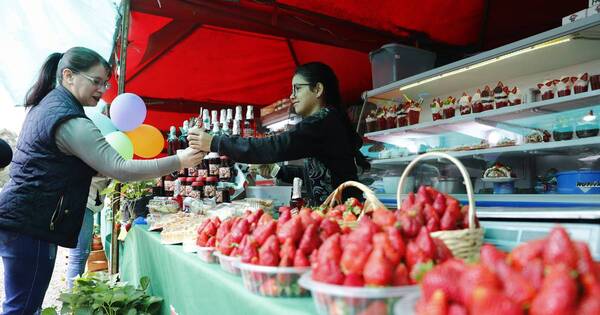 La Nación / Formato “coseche y pague”atrae en la Expo Frutilla