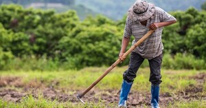 Aumentar el acceso a créditos es fundamental para el desarrollo productivo