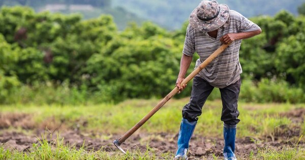 Aumentar el acceso a créditos es fundamental para el desarrollo productivo