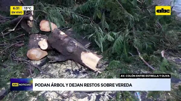Video: Podan árbol y dejan restos sobre vereda - ABC Noticias - ABC Color