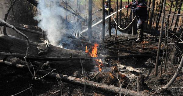La Nación / Dos bomberos mueren en incendios forestales en Canadá