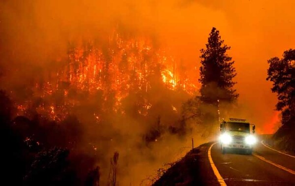 Dos bomberos mueren en combate de incendios forestales en Canadá – Prensa 5
