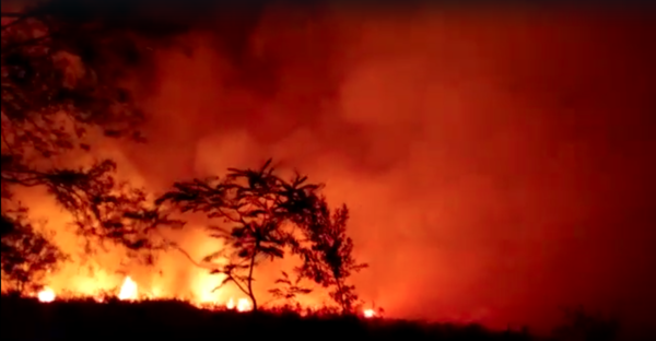 Bomberos Amarillos cerraron la semana con 19 servicios.