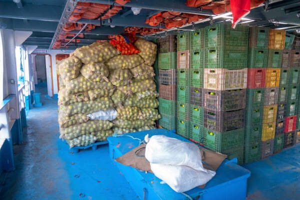 Los exportadores de fruta y verdura esperan que se resuelva el acuerdo UE-Mercosur - Revista PLUS