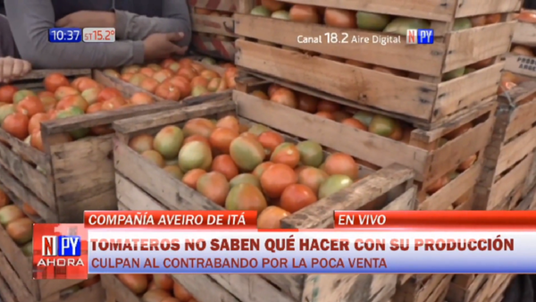 Desesperación: Tomateros de Itá no tienen donde ubicar sus productos
