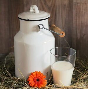 Nutrición: la importancia de consumir leche - Estilo de vida - ABC Color