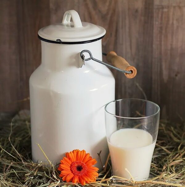 Nutrición: la importancia de consumir leche - Estilo de vida - ABC Color