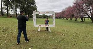 La Nación / La Paz invita a visitar el PaseoTurístico natural de los cerezos