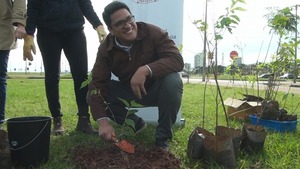 Plantación de árboles de sakura embellece la ciudad gracias a una generosa donación